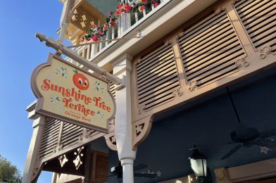 The Orange Bird Sipper can Now be Found in a Different Park!