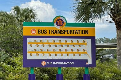 Let’s Look at the Disney Bus Terminals at Each Theme Park and Disney Springs