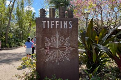 REVIEW – Tiffins Is Not As Adventurous As It Used to Be, But It Still Satisfies