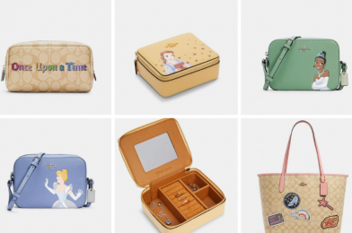 SHOP: New Disney x COACH Disney Princess Collection Now Available Online