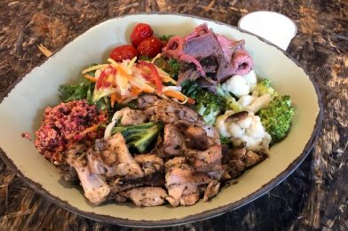 Best Healthy Food Options at Disney’s Animal Kingdom