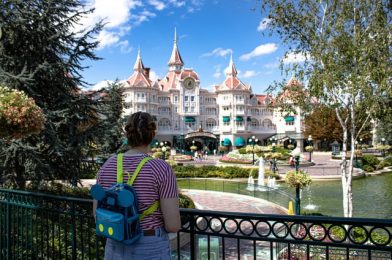 All You Need is Pixie Dust…and a Really Good Park Bag