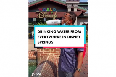 Walt Disney World Cast Member Fired After Sneaking Into Wedding Pavilion and Drinking Out of Disney Springs Fountains in Viral TikTok Videos