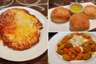 REVIEW: Tutto Italia Ristorante in Italy at EPCOT Offers Large Portions and Enjoyable Bites