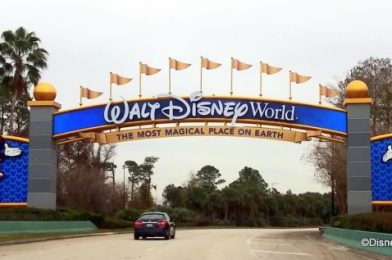 5 Things That Will Be DIFFERENT in Disney World in March