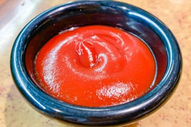 Is the Ketchup Issue Coming to An End in Disney World?!