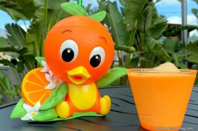 How to Get Disney World’s Orange Bird Souvenir Cup WITHOUT A Park Ticket!