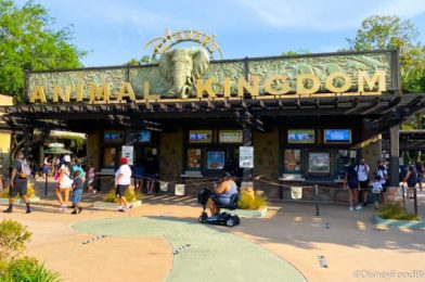 What’s New in Disney’s Animal Kingdom: A BIG Ride Update and the Tiniest Autograph Book