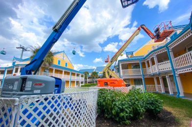 As One Construction Wall Comes Down in Disney World, Another Goes Up