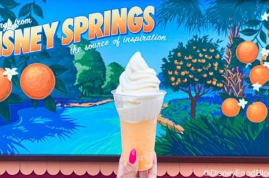 There’s Another Spot to Get a Controversial Disney World Snack and MORE Menu Changes!