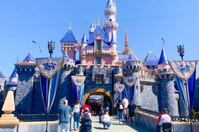 Buying a Disneyland Churro Looks a Little Different Right Now