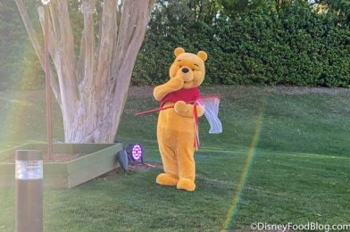 New Disney Items Take Winnie the Pooh’s Honey Obsession to a Whole NEW Level!