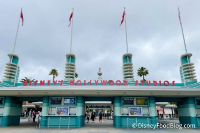 Planning for Unexpected Disney Weather Just Got Easier