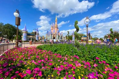 The 5 BEST Things to Do in Disney World in April!