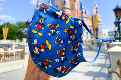 How To Get Official Disney Masks For Just $2.50 Each!