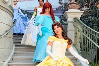 See How YOU Can Participate in Disney’s Year-Long Princess Celebration!