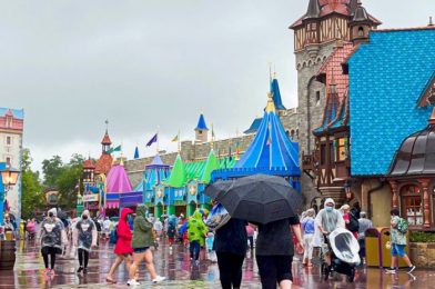 Disney Skyliner Was Temporarily Halted Due to Weather