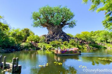 Why You Might Want to Bring Earplugs to Disney’s Animal Kingdom