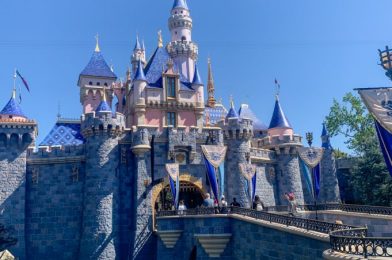 Has Disneyland’s Rise of the Resistance Changed At All? Here’s What We Saw!