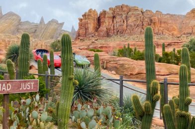 There Was a Surprise Restaurant Reopening in Disney California Adventure Today!