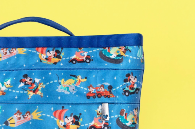 Here’s How You Can STILL Get Disney’s New “Sold-Out” Accessories!