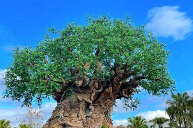 What’s New at Disney’s Animal Kingdom: Cotton Candy Drinks and an Everest-Themed Treat!