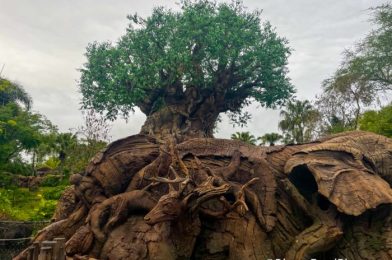 What’s New in Disney’s Animal Kingdom: A Grab-and-Go Breakfast Option and a SCARY Souvenirs