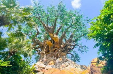 We Found NEW Additions (‘Sup Te Fiti) in Disney World’s Animal Kingdom!