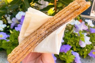 REVIEW: The Disney Churro Dip We Didn’t Know We Needed