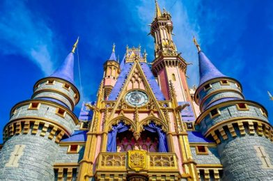 It’s Not too Late to Enter to Win a FREE Disney World Vacation!