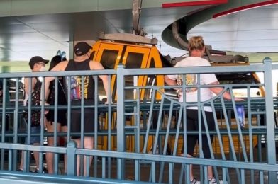 Guests Stuck on Disney Skyliner Following Crash