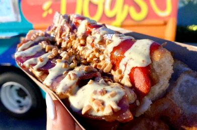 The 3 WORST Things We’ve Eaten in Disney World This Year (So Far)