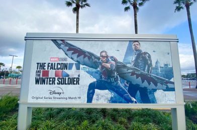 Disney’s Latest DIY Is For Everyone Obsessed With ‘The Falcon and the Winter Soldier’