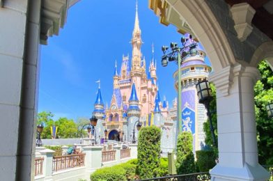 PHOTOS: The Cinderella Castle 50th Anniversary Transformation Is One Step Closer to Completion in Disney World!