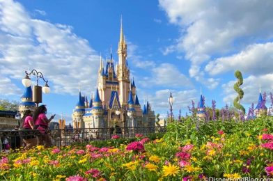 Man Runs From Disneyland to Disney World And Gets EXTRA Magic at the Finish Line!