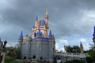 What a ‘Severe Weather Warning’ Day Looks Like in Disney World