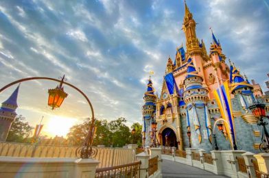 What’s New in Magic Kingdom: MORE Castle Decorations and a MAJOR Jungle Cruise Change!