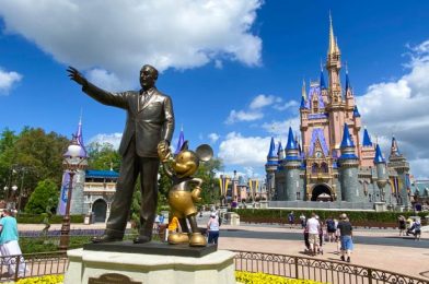 DFB Video: 17 Bizarre Things That Make People MAD in Disney World