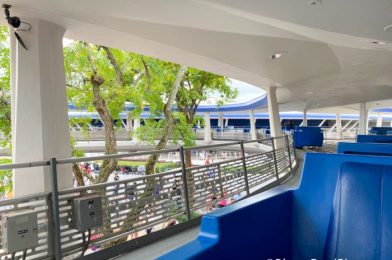 Is the Wait for the PeopleMover as Long as it Seems in Disney World?