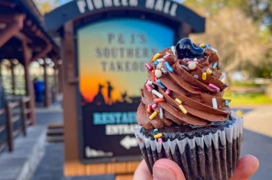 Review: Did We Just Find One of the BEST Disney World Cupcakes of 2021?