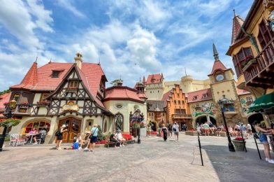 DFB Video: Things You Might Not Want To Know About Disney World