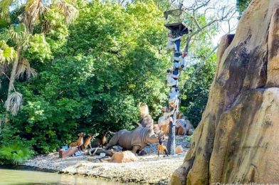 MORE Details Shared About Jungle Cruise Changes Coming to Disney World!