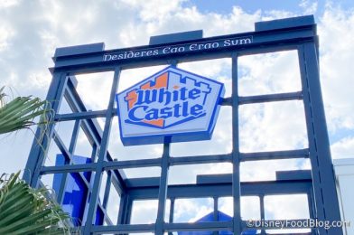 PHOTOS! First Look At The NEW White Castle Near Disney World!