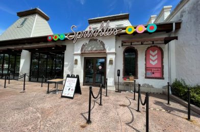 A Margarita Cupcake in Disney World? Yes, Please!