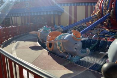 Walt Disney World Flying Spinner Roundup