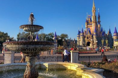 12 Things to Do After Your First Disney Trip