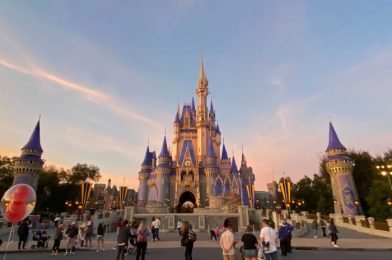 50 Things to Do Before Your First Disney Trip