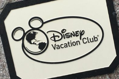 DVC Acknowledges Long Phone Wait Times, Pledges Improvement