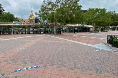 PHOTOS: Physical Distancing Markers Added in Esplanade for Disneyland Park Entrance as Cast Members Return for ‘Test and Adjust’ Phase of Reopening