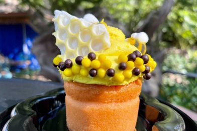 REVIEW – Which of the NEW Cupcakes at Animal Kingdom Is the BEST?